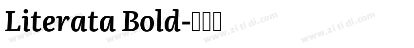 Literata Bold字体转换